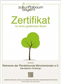 Baum
